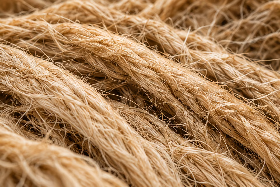 Natural hemp fibres in close detail