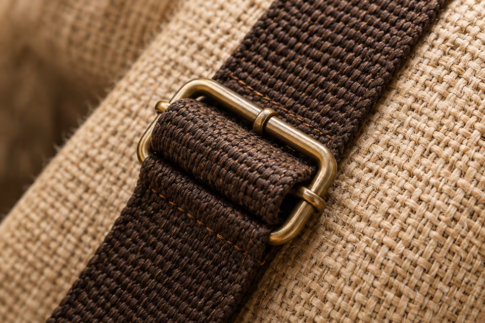 Close-up of a bag strap and buckle